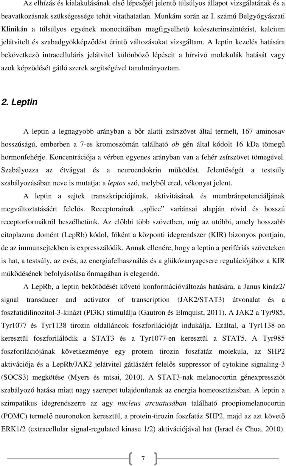 A leptin kezelés hatására bekövetkező intracelluláris jelátvitel különböző lépéseit a hírvivő molekulák hatását vagy azok képződését gátló szerek segítségével tanulmányoztam. 2.