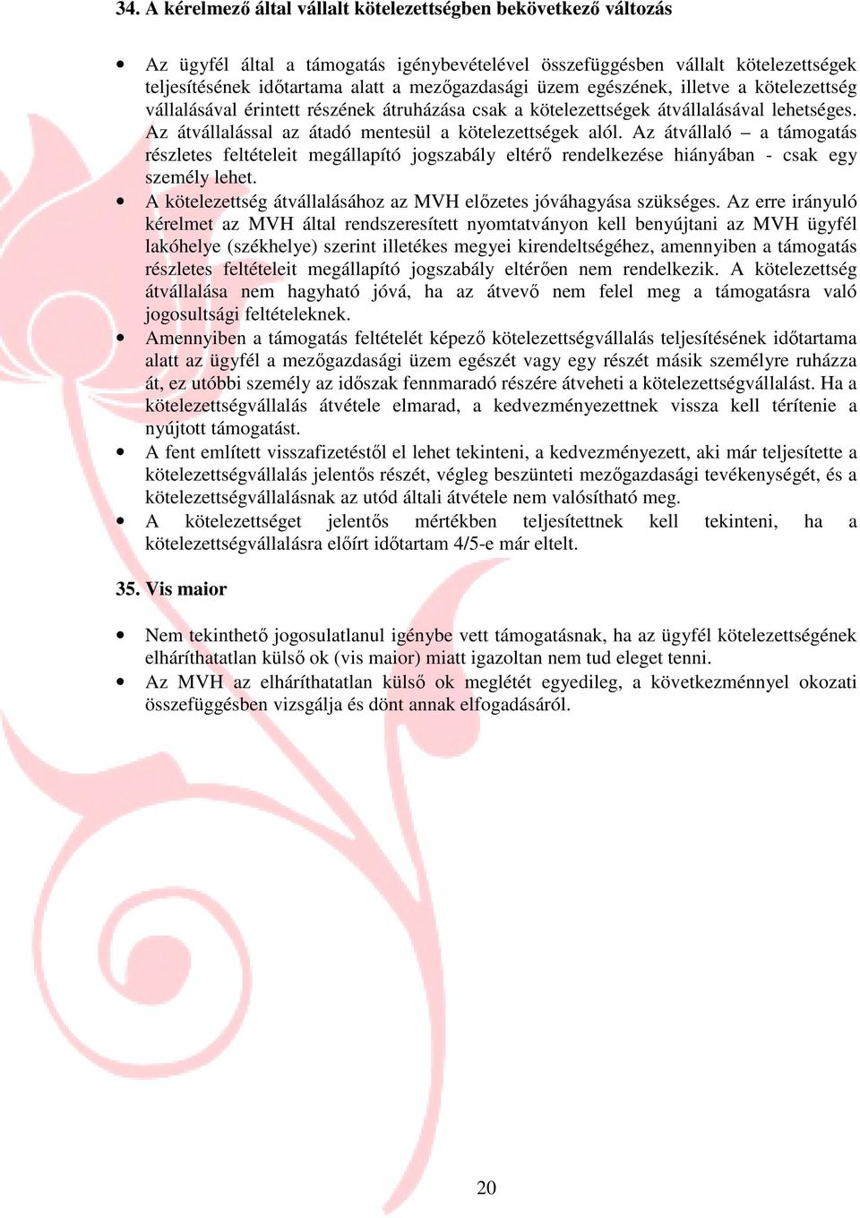 Az átvállaló a támogatás részletes feltételeit megállapító jogszabály eltérı rendelkezése hiányában - csak egy személy lehet. A kötelezettség átvállalásához az MVH elızetes jóváhagyása szükséges.