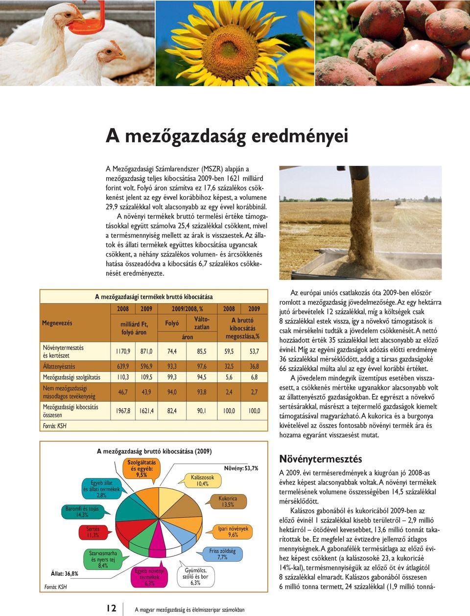 A növényi termékek bruttó termelési értéke támogatásokkal együtt számolva 25,4 százalékkal csökkent, mivel a termésmennyiség mellett az árak is visszaestek.