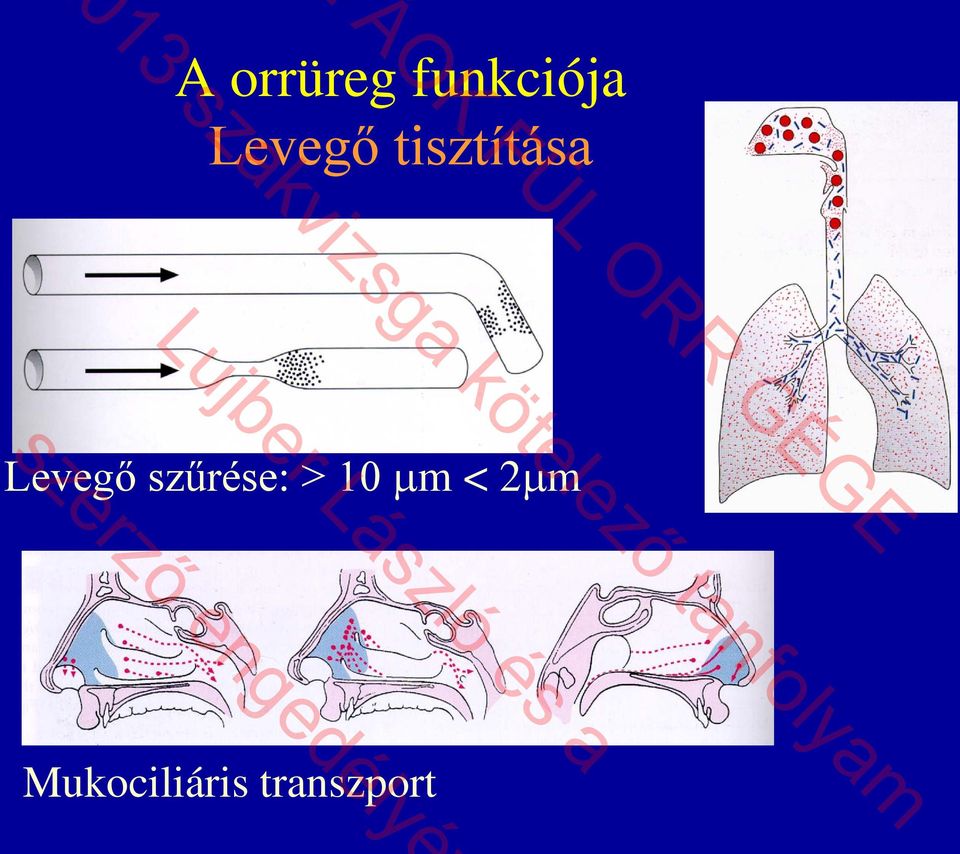 Levegő szűrése: > 10