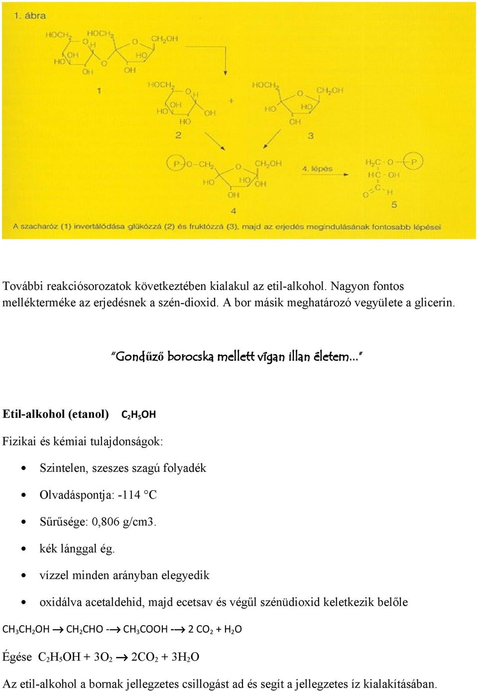 .. Etil-alkohol (etanol) C 2 H 5 OH Fizikai és kémiai tulajdonságok: Szintelen, szeszes szagú folyadék Olvadáspontja: -114 C Sűrűsége: 0,806 g/cm3. kék lánggal ég.