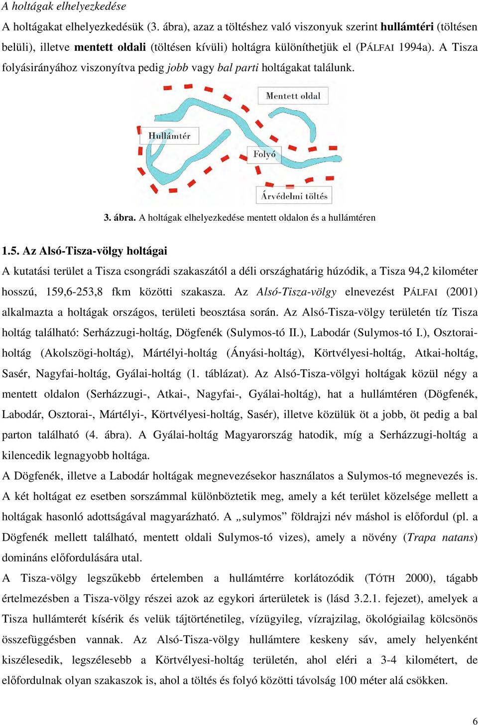 A Tisza folyásirányához viszonyítva pedig jobb vagy bal parti holtágakat találunk. 3. ábra. A holtágak elhelyezkedése mentett oldalon és a hullámtéren 1.5.