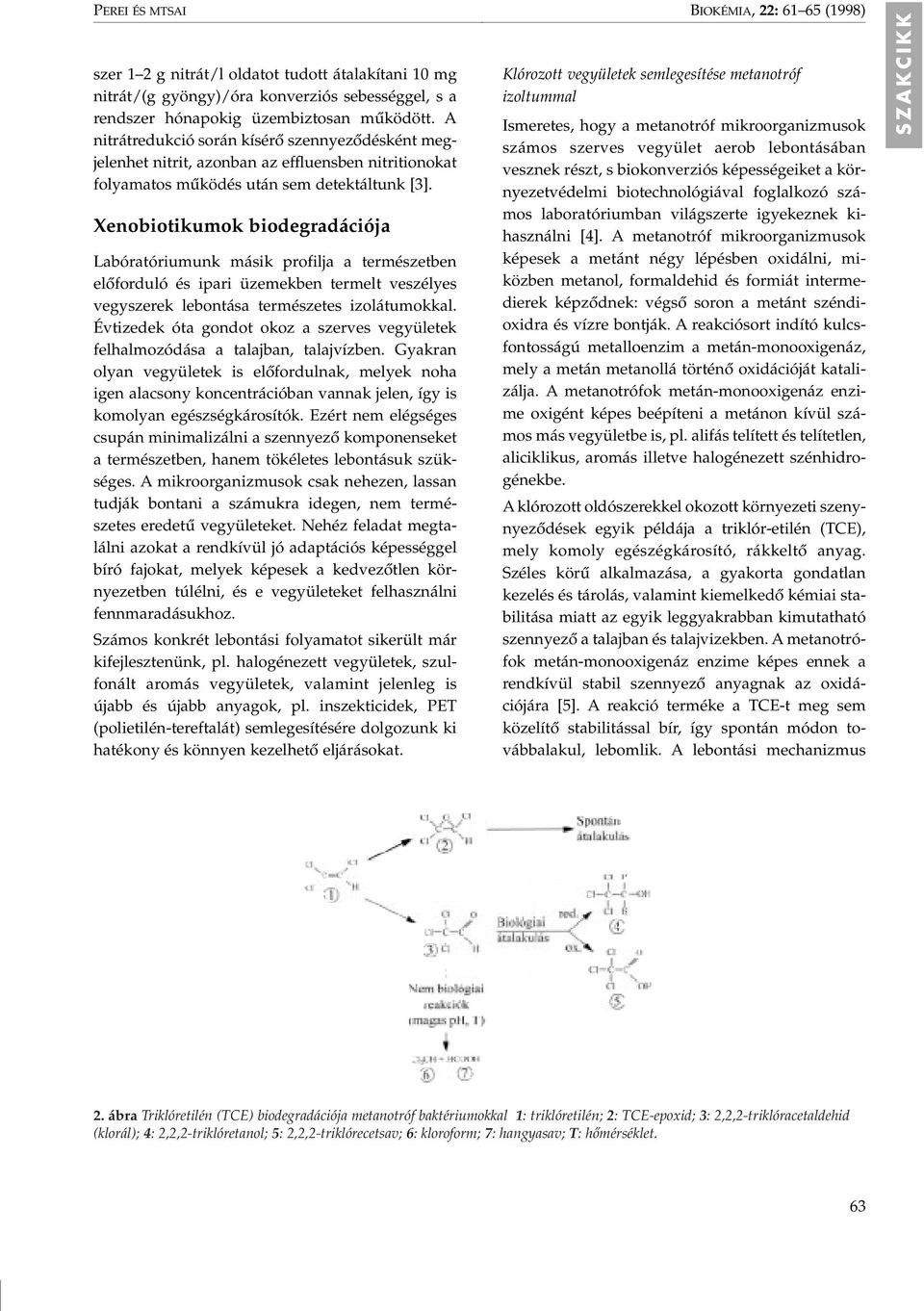 Xenobiotikumok biodegradációja Labóratóriumunk másik profilja a természetben elôforduló és ipari üzemekben termelt veszélyes vegyszerek lebontása természetes izolátumokkal.