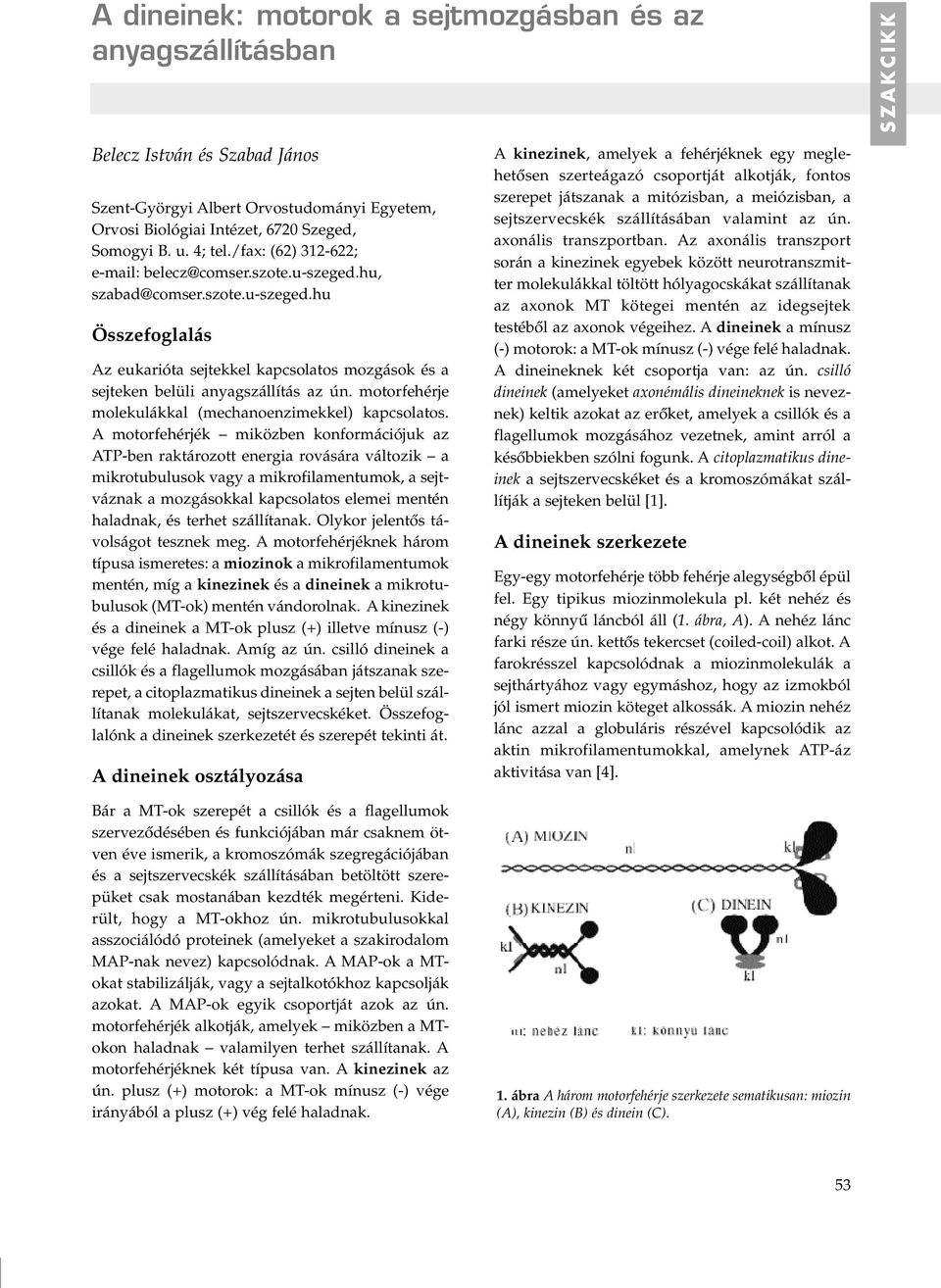 motorfehérje molekulákkal (mechanoenzimekkel) kapcsolatos.