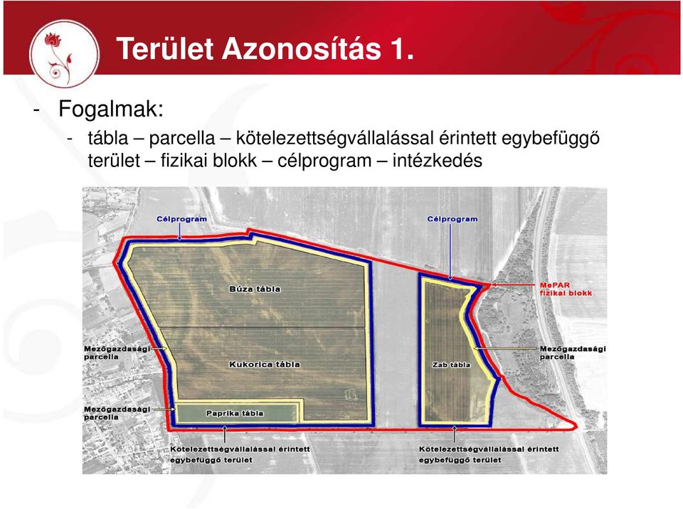 kötelezettségvállalással érintett