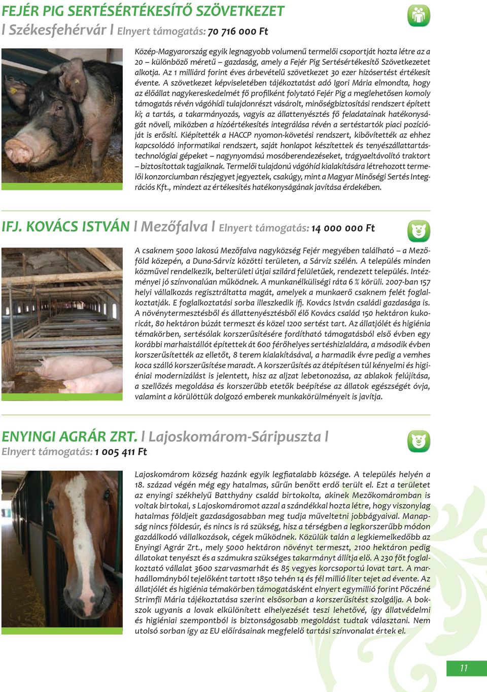 A szövetkezet képviseletében tájékoztatást adó Igori Mária elmondta, hogy az élőállat nagykereskedelmét fő profilként folytató Fejér Pig a meglehetősen komoly támogatás révén vágóhídi tulajdonrészt