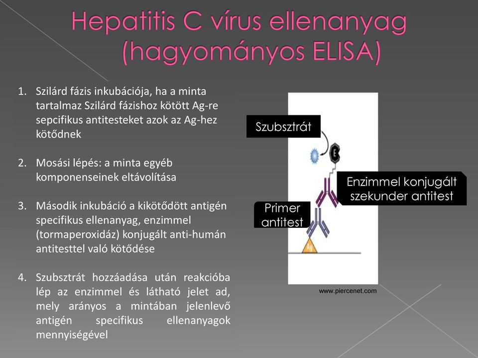 Második inkubáció a kikötődött antigén specifikus ellenanyag, enzimmel (tormaperoxidáz) konjugált anti-humán antitesttel való kötődése 4.