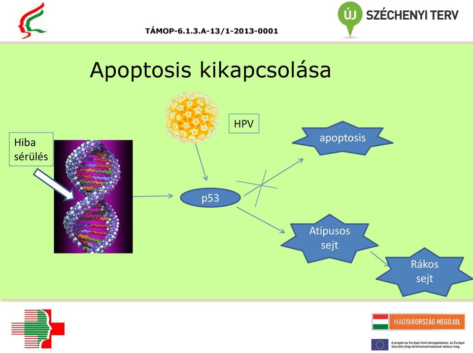 sérülés HPV