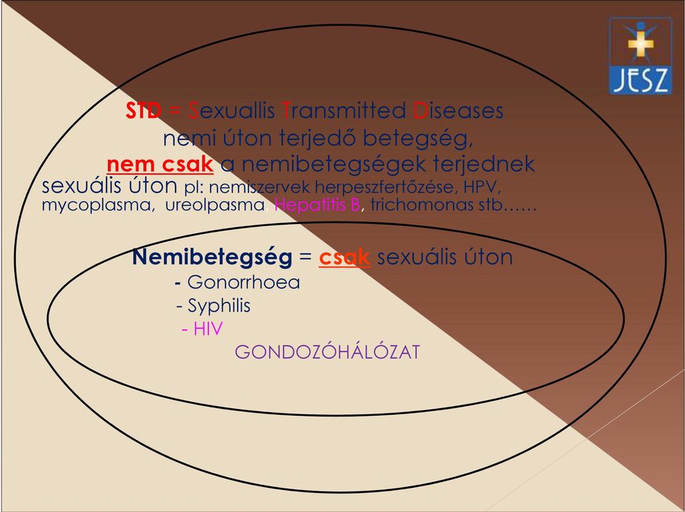 herpeszfertőzése, HPV, mycoplasma, ureolpasma, Hepatitis B,