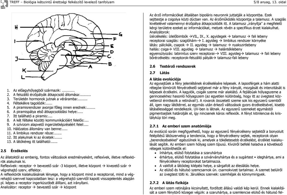 Analizátorok: ízérzékelés: ízlelőbimbók VIL, IX., X. agyidegek talamusz fali lebeny receptorai szaglás: szaglóhám- I. agyideg limbikus rendszer környéke látás: pálcikák, csapok II.