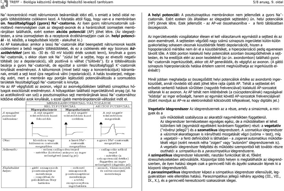 Az ilyen gyors nátriumcsatornák számottevő mennyiségben csak az idegsejt-axonok és a harántcsíkolt izomsejtek membránjában találhatók, ezért ezeken akciós potenciál (AP) jöhet létre.