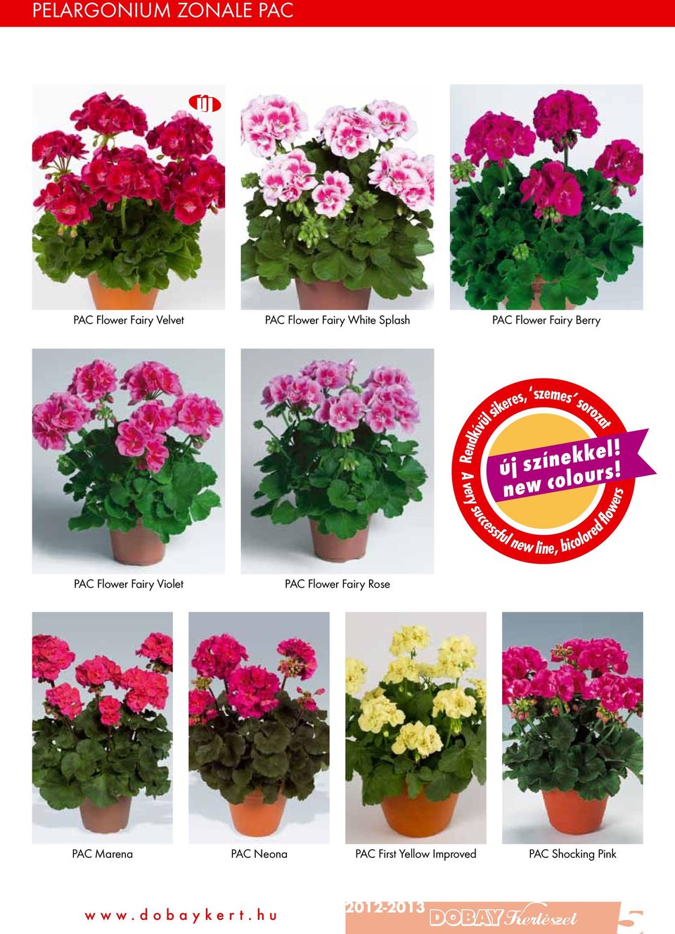 Rendkívül sikeres, szemes sorozat A very successful new line, bicolored flowers