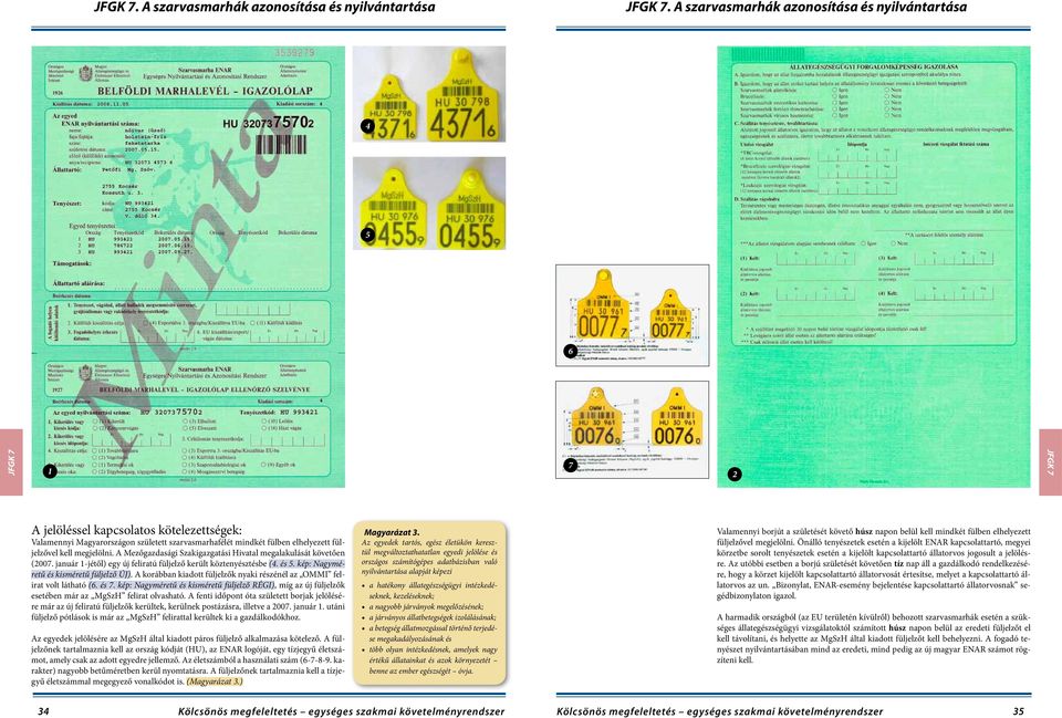 füljelzővel kell megjelölni. A Mezőgazdasági Szakigazgatási Hivatal megalakulását követően (2007. január 1-jétől) egy új feliratú füljelző került köztenyésztésbe (4. és 5.