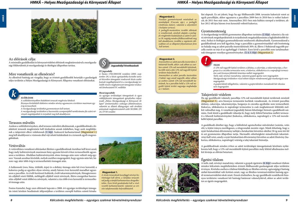 A parlagfű-mentesítésre további előírások is vonatkoznak, amelyek alapján a parlagfű virágbimbó kialakulását az adott év június 30.