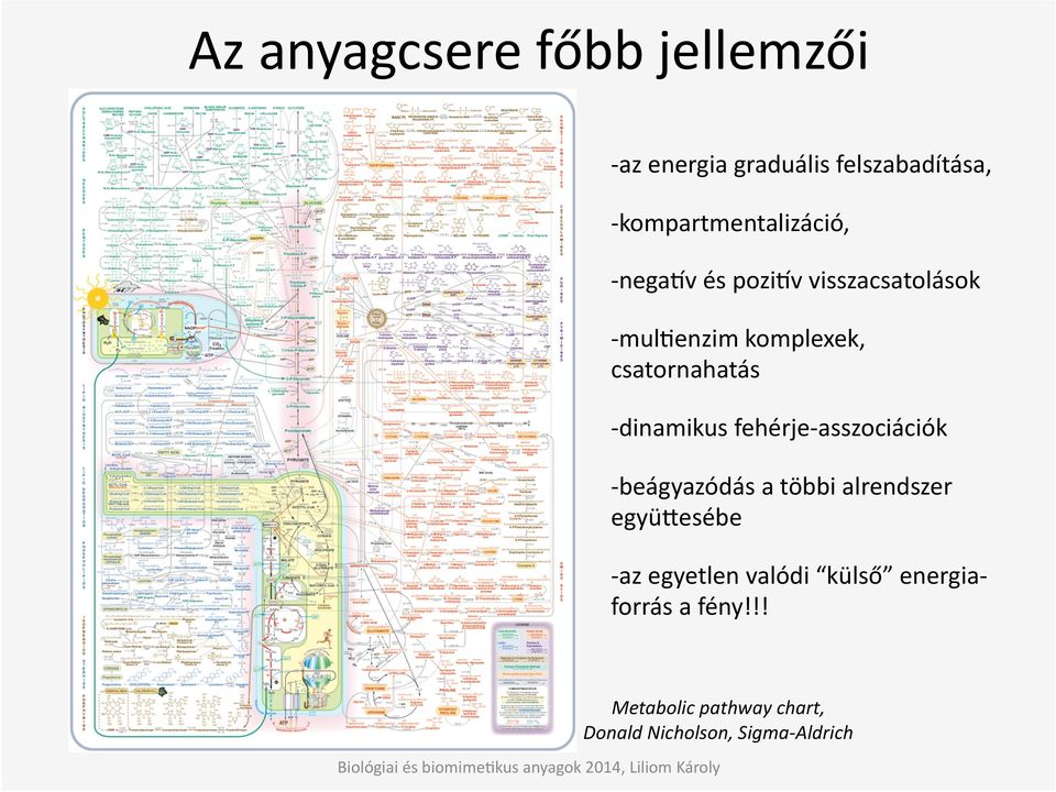 csatornahatás - dinamikus fehérje- asszociációk - beágyazódás a többi alrendszer