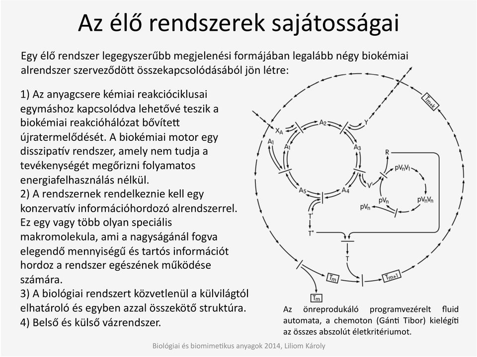 A biokémiai motor egy disszipaqv rendszer, amely nem tudja a tevékenységét megőrizni folyamatos energiafelhasználás nélkül.