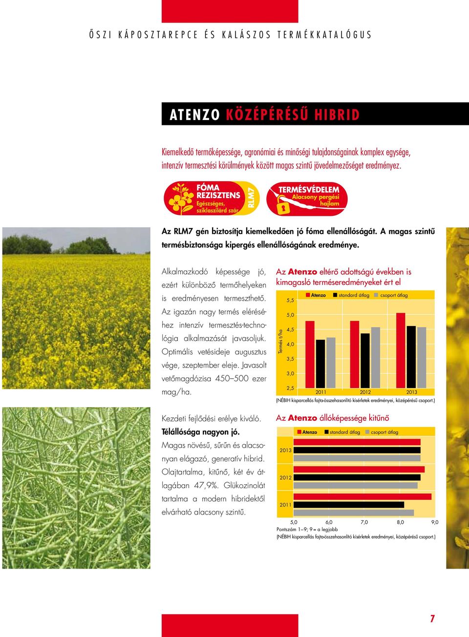 Alkalmazkodó képessége jó, ezért különböző termőhelyeken is eredményesen termeszthető. Az igazán nagy termés eléréséhez intenzív termesztés-technológia alkalmazását javasoljuk.