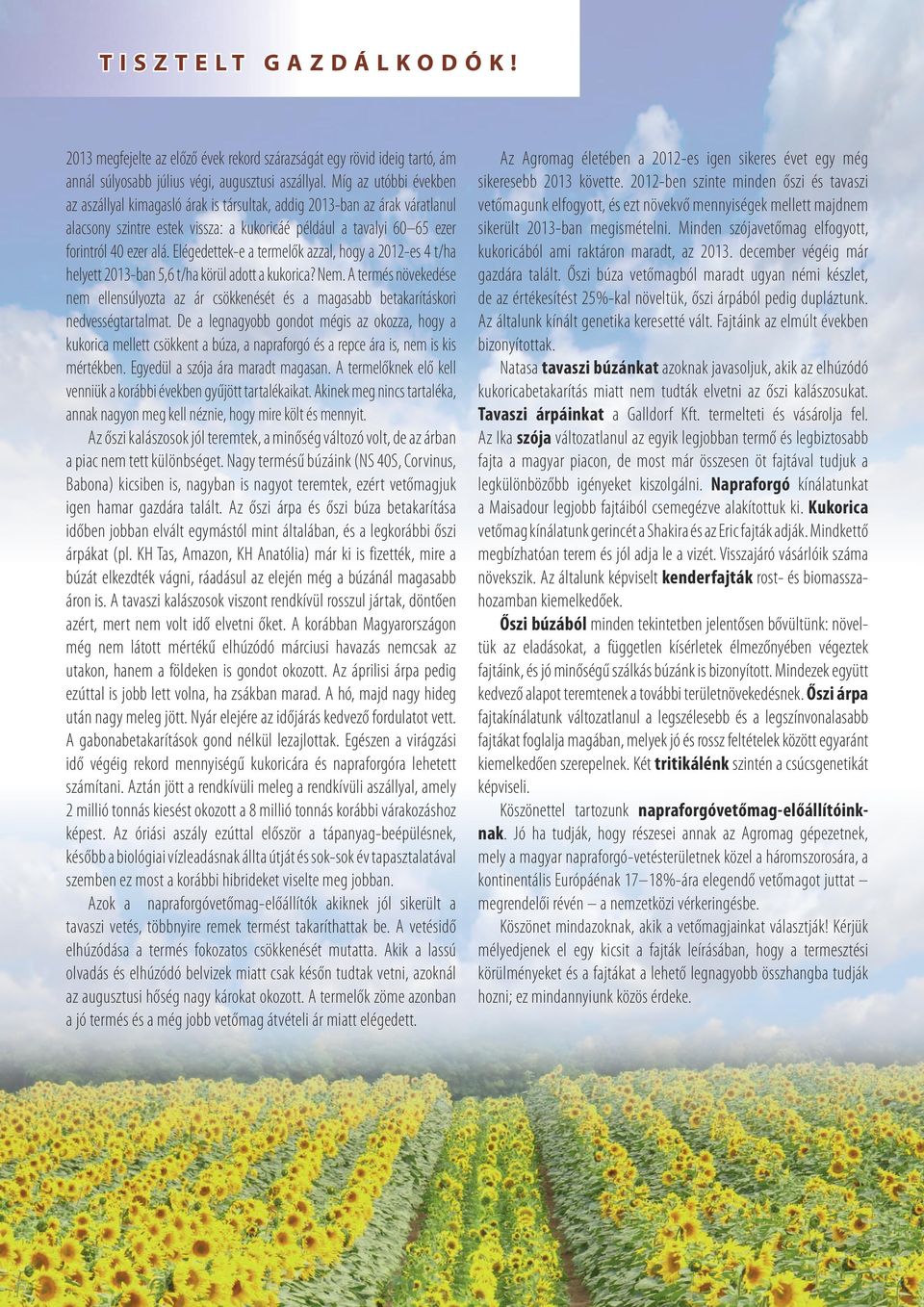 Elégedettek-e a termelők azzal, hogy a 2012-es 4 t/ha helyett 2013-ban 5,6 t/ha körül adott a kukorica? Nem.