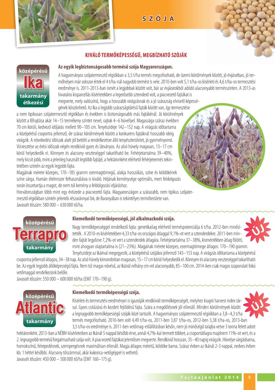 2010-ben volt 5,1 t/ha-os kísérleti és 4,6 t/ha-os termesztési eredménye is. 2011-2013-ban ismét a legjobbak között volt, bár az évjáratokból adódó alacsonyabb termésszinten.