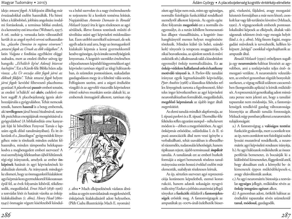 versszaka latin változatából került át az angol nyelvű orvosi szóhasználatba. placebo Domino in regione vivorum : tet szeni fogok az Úrnak az élők világában.