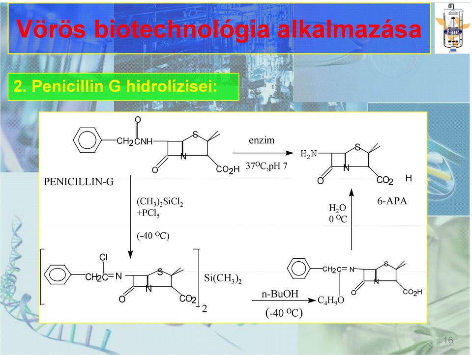 enzim 37 O C,pH 7 H 2 N O N S CO2 H (CH 3 ) 2 SiCl 2 +PCl 5 H 2 O 0