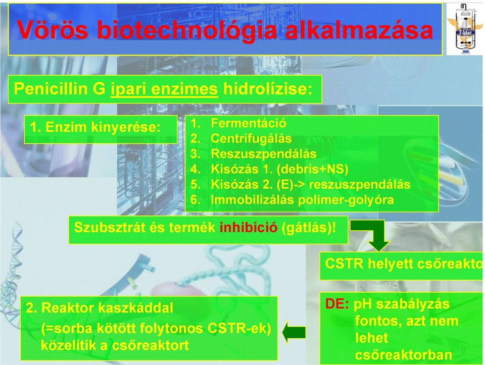 Immobilizálás polimer-golyóra Szubsztrát és termék inhibíció (gátlás)! CSTR helyett csőreakto 2.