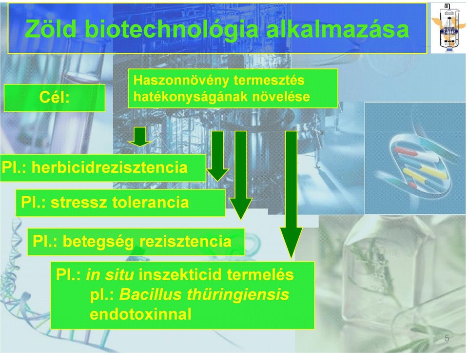 : stressz tolerancia Pl.: betegség rezisztencia Pl.