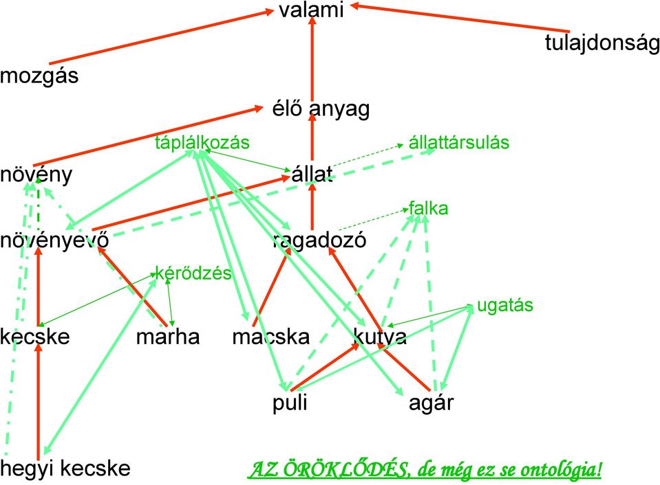 kérődzés kecske marha macska kutya falka ugatás