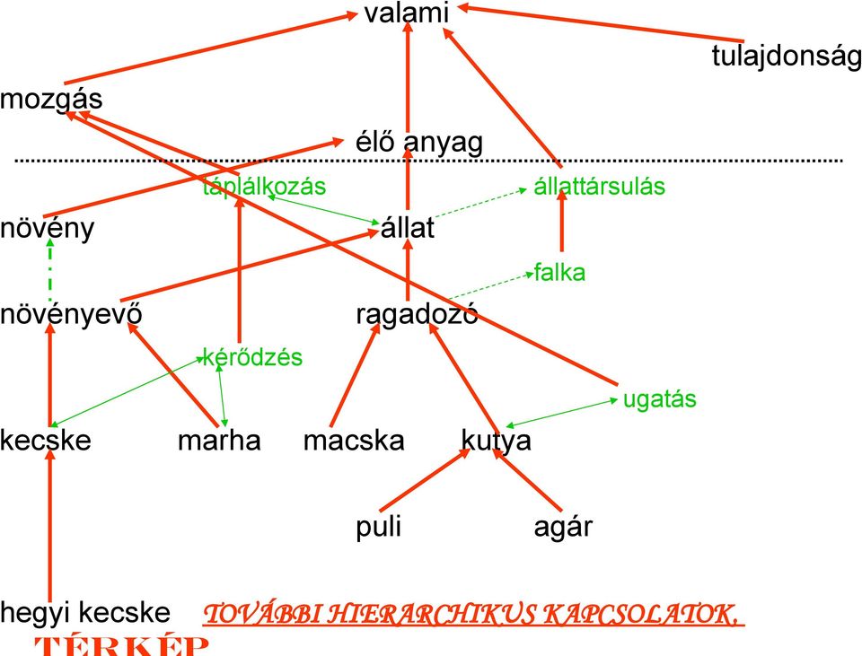 kérődzés kecske marha macska kutya falka ugatás