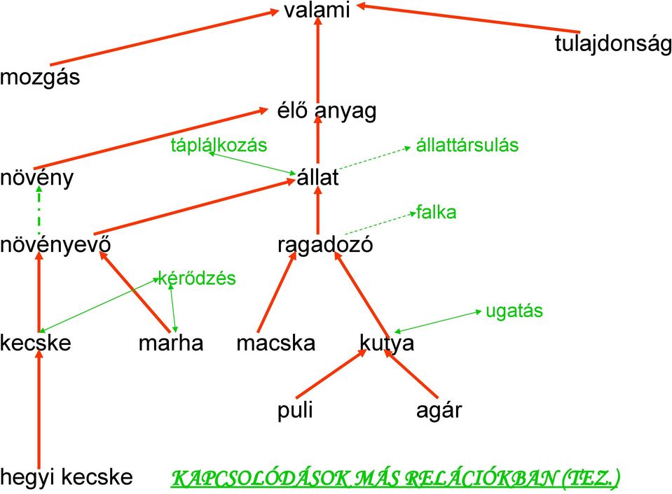 kérődzés kecske marha macska kutya falka ugatás