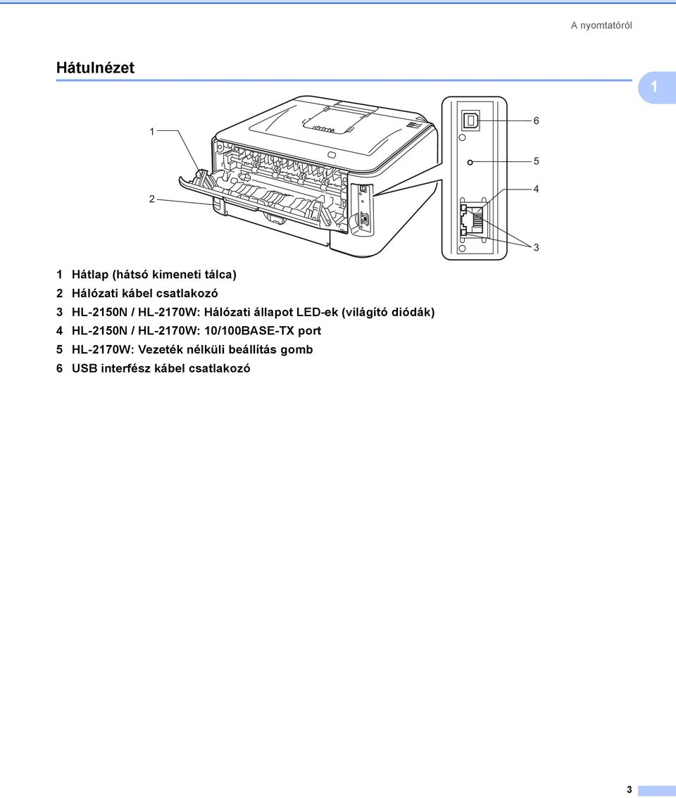 állapot LED-ek (világító diódák) 4 HL-2150N / HL-2170W: 10/100BASE-TX