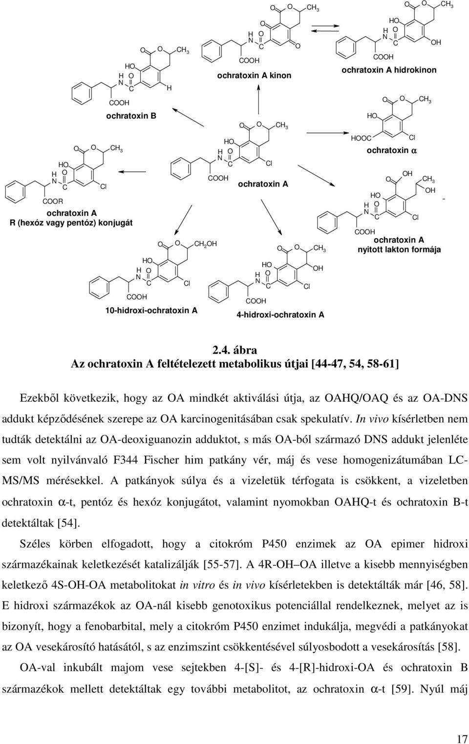 hidroxi-ochratoxin A HC H H H N C H H N C CH Cl ochratoxin α CH 3 H ochratoxin A hidrokinon H Cl CH 3 H CH ochratoxin A nyitott lakton formája CH 3 2.4.