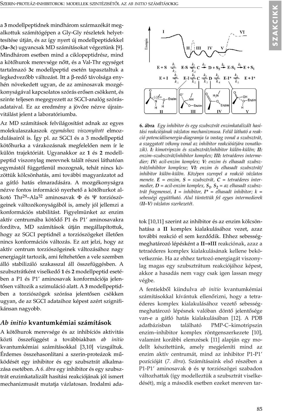 Mindhárom esetben mind a ciklopeptidrész, mind a kötôhurok merevsége nôtt, és a Val-Thr egységet tartalmazó 3c modellpeptid esetén tapasztaltuk a legkedvezôbb változást.