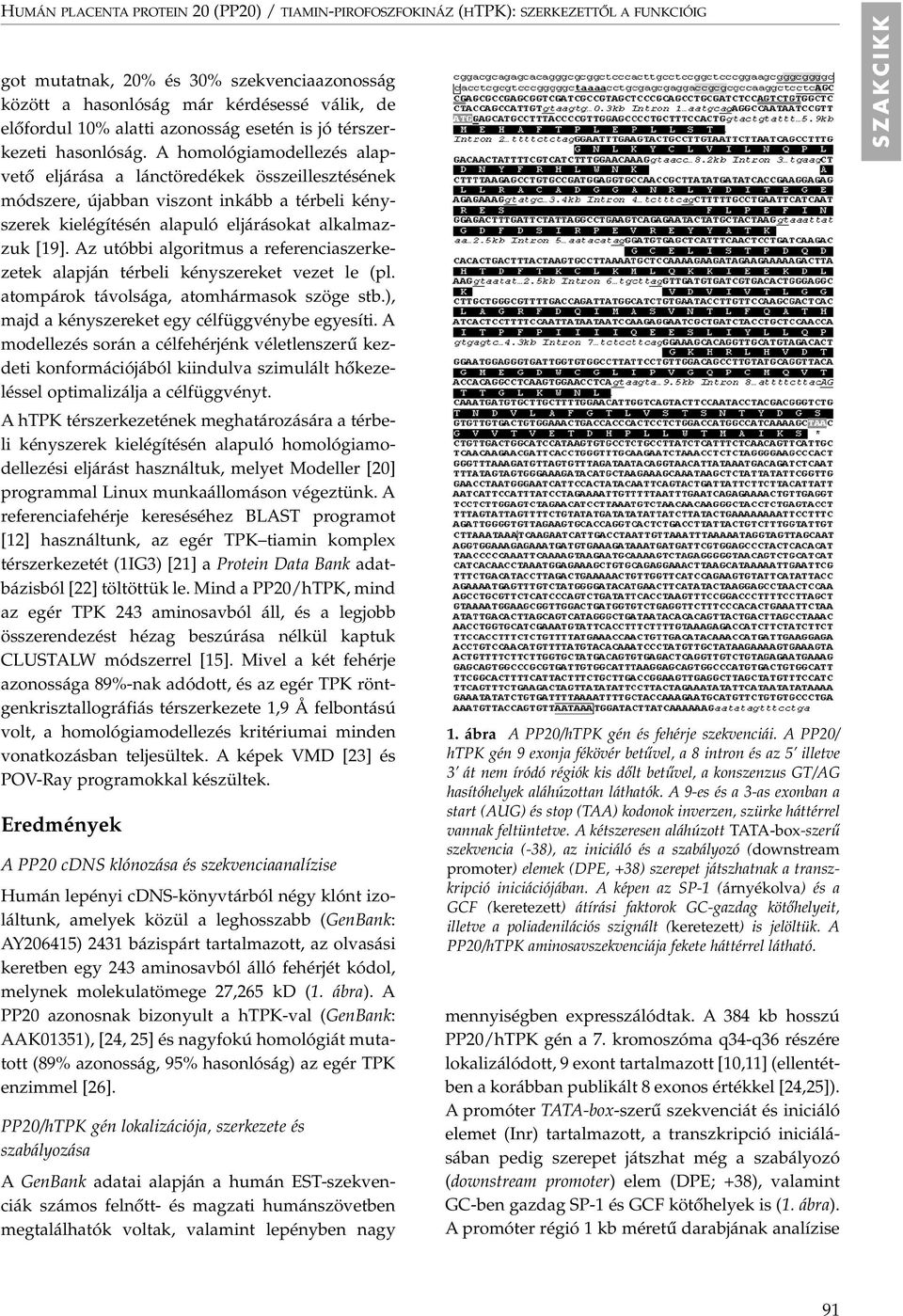 A homológiamodellezés alapvetô eljárása a lánctöredékek összeillesztésének módszere, újabban viszont inkább a térbeli kényszerek kielégítésén alapuló eljárásokat alkalmazzuk [19].