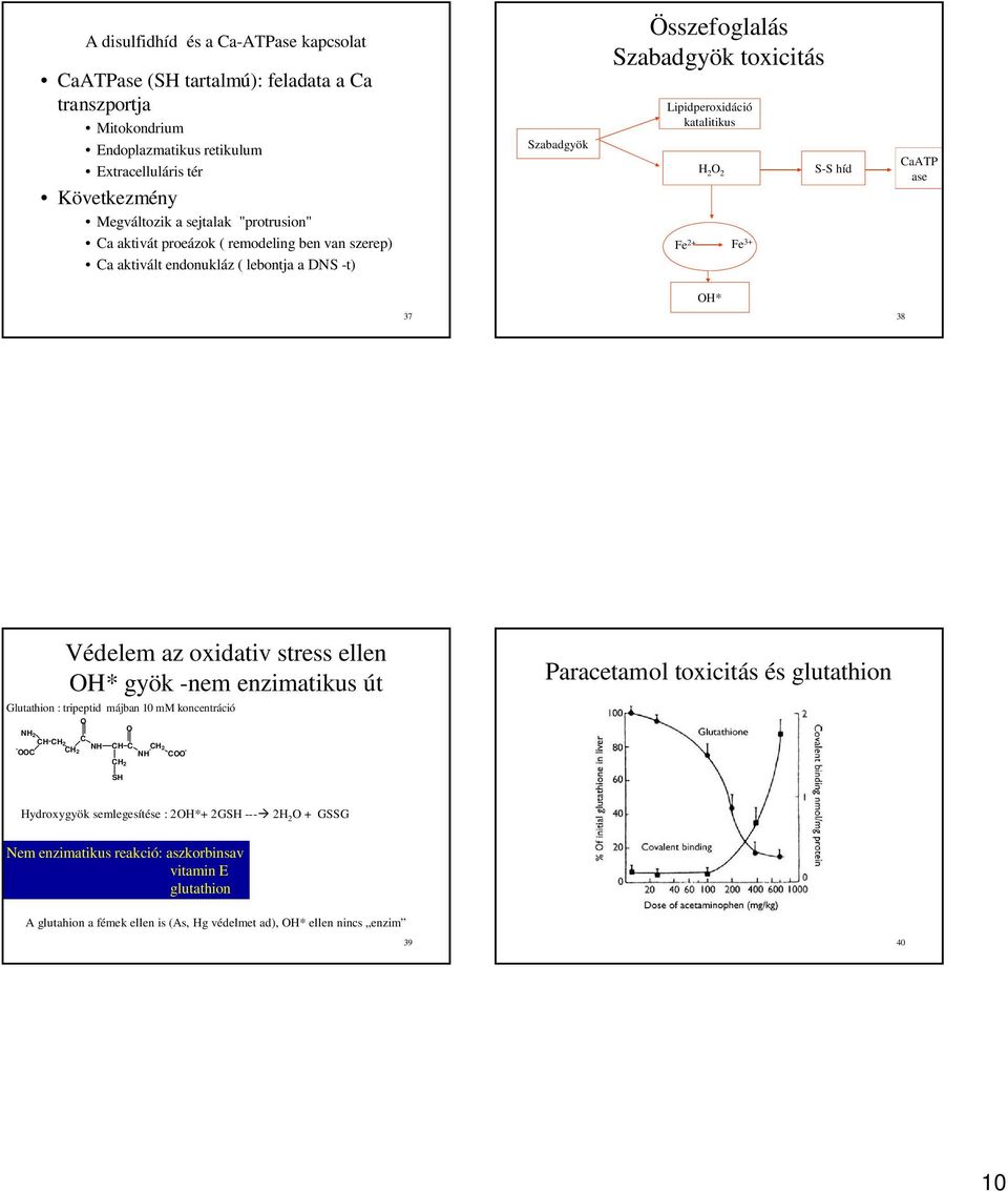 CaATP ase 37 OH* 38 Védelem az oxidativ stress ellen OH* gyök -nem enzimatikus út Glutathion : tripeptid májban 10 mm koncentráció O NH2 CH C CH2 - OOC CH2 NH CH CH2 O C NH CH2 COO - Paracetamol