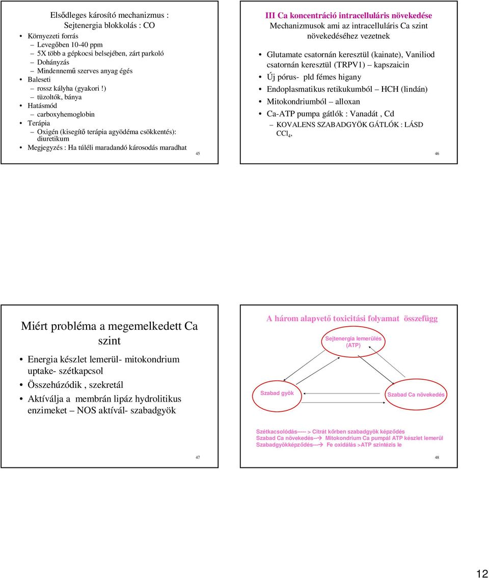 ) tüzoltók, bánya Hatásmód carboxyhemoglobin Terápia Oxigén (kisegít terápia agyödéma csökkentés): diuretikum Megjegyzés : Ha túléli maradandó károsodás maradhat 45 III Ca koncentráció