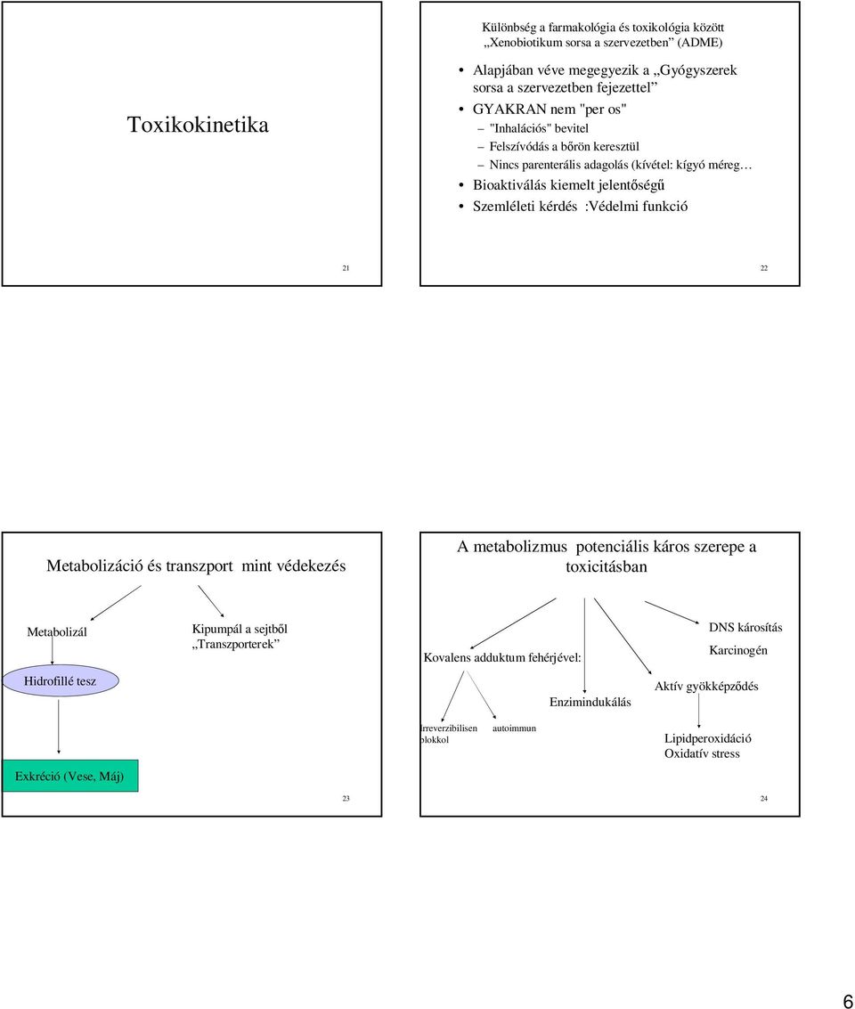 :Védelmi funkció 21 22 Metabolizáció és transzport mint védekezés A metabolizmus potenciális káros szerepe a toxicitásban Metabolizál Kipumpál a sejtb l Transzporterek Kovalens