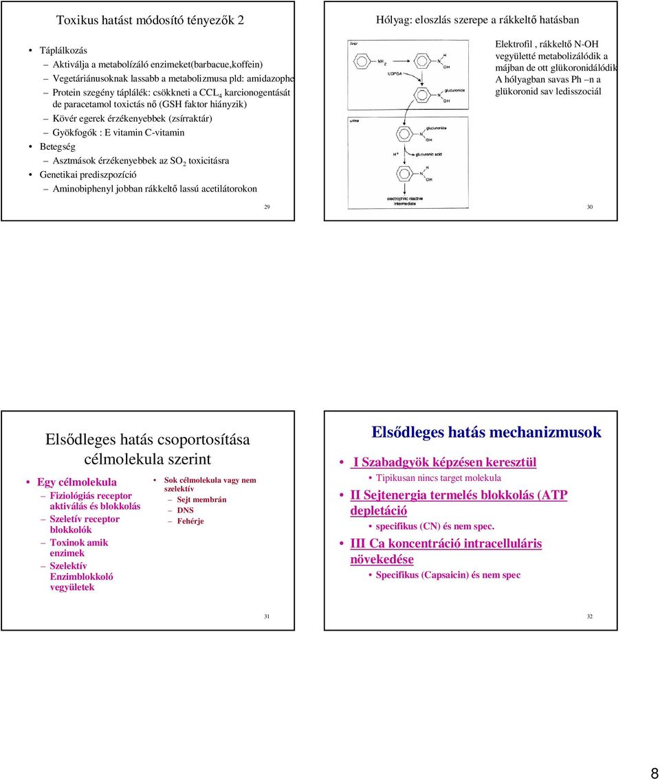 Genetikai prediszpozíció Aminobiphenyl jobban rákkelt lassú acetilátorokon 29 Hólyag: eloszlás szerepe a rákkelt hatásban Elektrofil, rákkelt N-OH vegyületté metabolizálódik a májban de ott