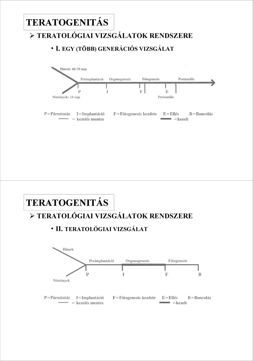 EGY (TÖBB) GENERÁCIÓS VIZSGÁLAT 