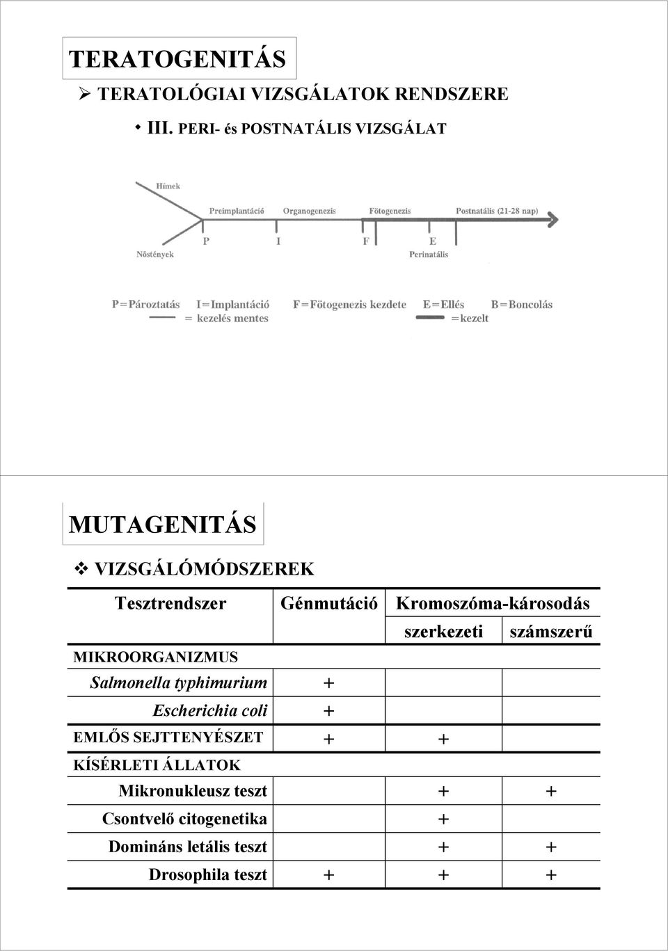 Salmonella typhimurium Escherichia coli EMLİS SEJTTENYÉSZET KÍSÉRLETI ÁLLATOK Mikronukleusz