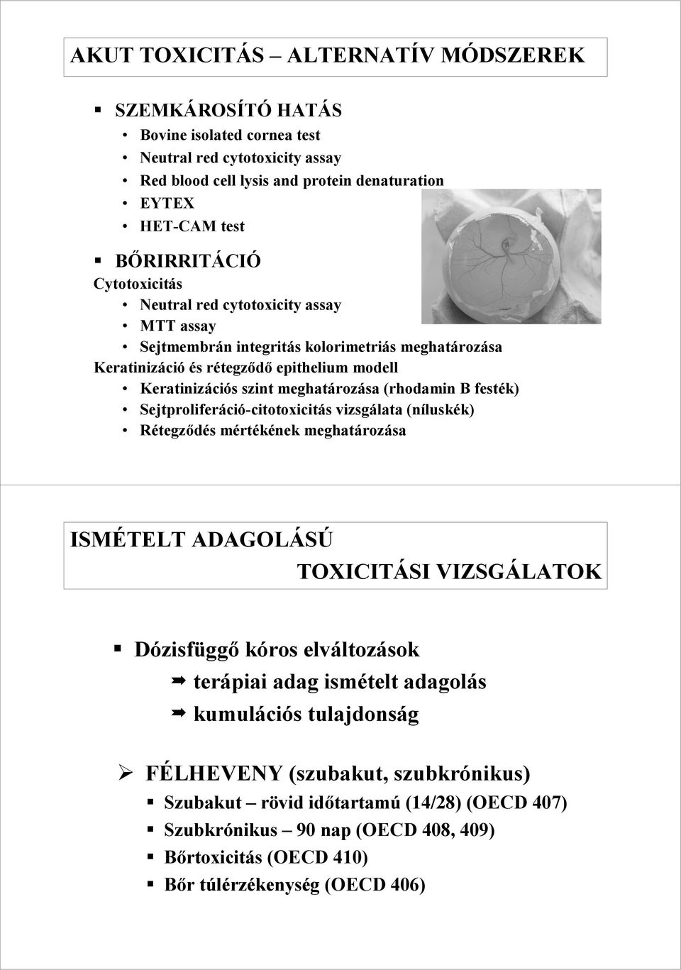 B festék) Sejtproliferáció-citotoxicitás vizsgálata (níluskék) Rétegzıdés mértékének meghatározása ISMÉTELT ADAGOLÁSÚ TOXICITÁSI VIZSGÁLATOK Dózisfüggı kóros elváltozások terápiai adag ismételt