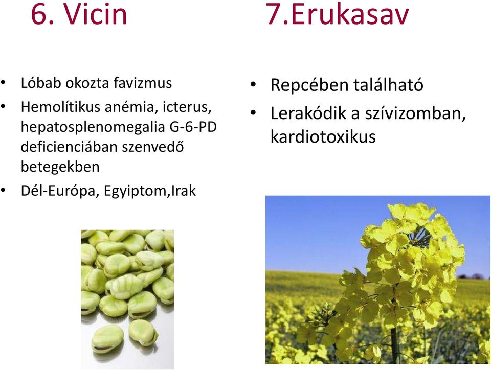 icterus, hepatosplenomegalia G-6-PD deficienciában