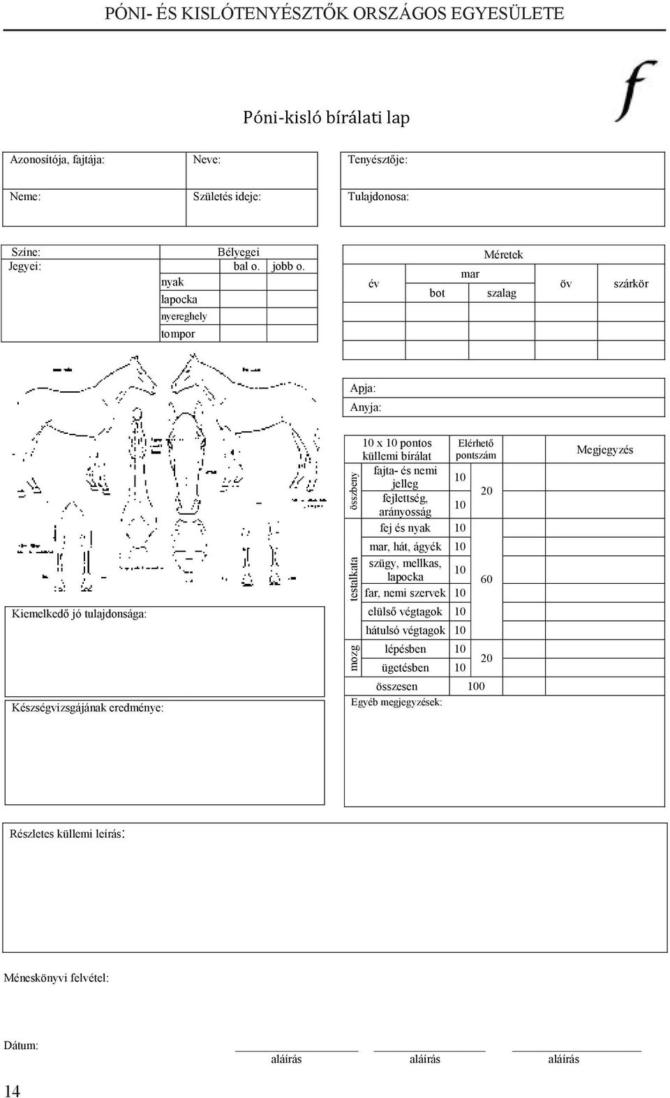 pontos küllemi bírálat Elérhető pontszám fajta- és nemi jelleg 10 fejlettség, arányosság 10 20 fej és nyak 10 mar, hát, ágyék 10 szügy, mellkas, lapocka 10 far, nemi szervek 10