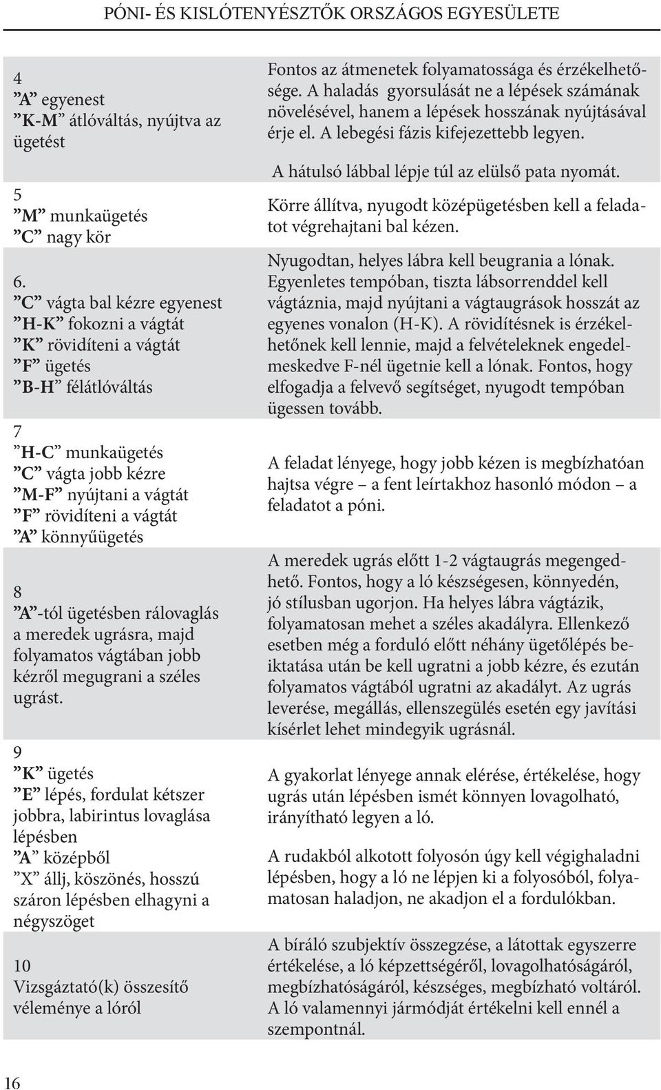 -tól ügetésben rálovaglás a meredek ugrásra, majd folyamatos vágtában jobb kézről megugrani a széles ugrást.