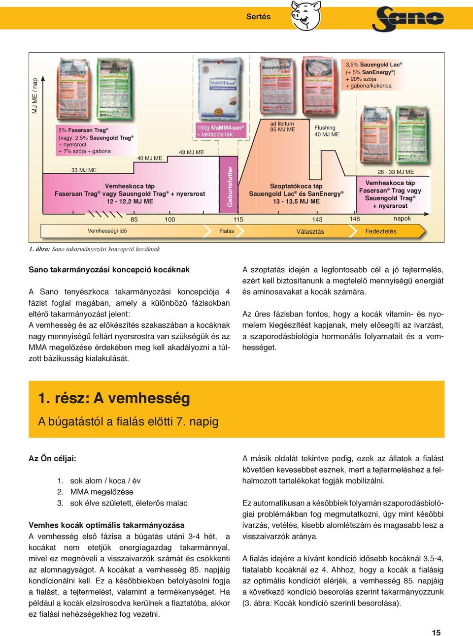 ad libitum 95 MJ ME Flushing 40 MJ ME 33 MJ ME 28-33 MJ ME Vemheskoca táp Szoptatókoca táp Vemheskoca táp Fasersan Trag vagy Sauengold Trag + nyersrost Sauengold Lac és SanEnergy Fasersan Trag vagy