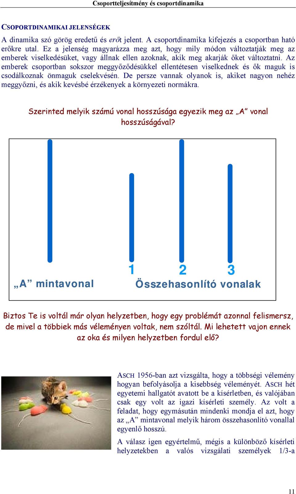 Az emberek csoportban sokszor meggyőződésükkel ellentétesen viselkednek és ők maguk is csodálkoznak önmaguk cselekvésén.