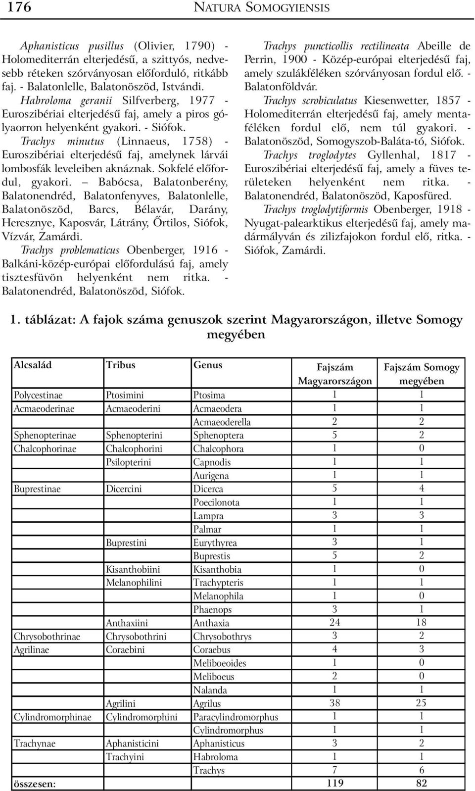 Trachys minutus (Linnaeus, 1758) - Euroszibériai elterjedésû faj, amelynek lárvái lombosfák leveleiben aknáznak. Sokfelé elõfordul, gyakori.