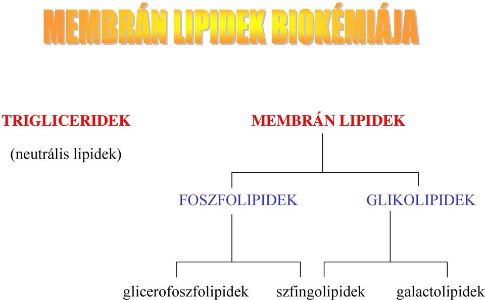 FSZFLIPIDEK GLIKLIPIDEK