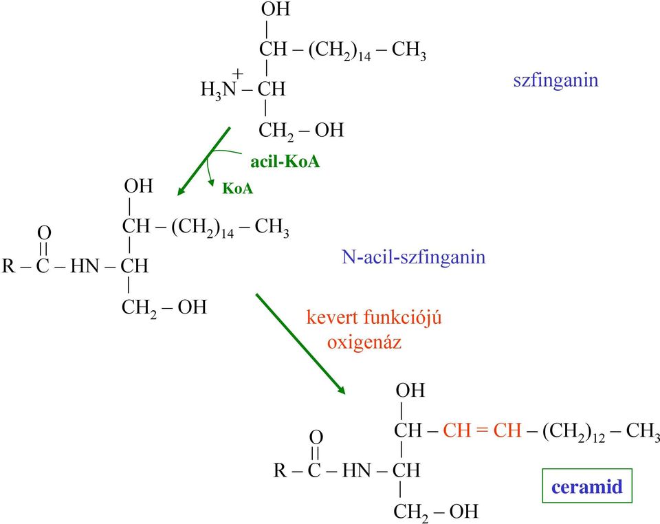 N-acil-szfinganin kevert funkciójú