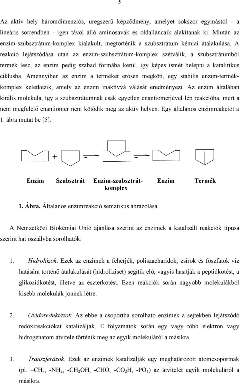 A reakció lejátszódása után az enzim-szubsztrátum-komplex szétválik, a szubsztrátumból termék lesz, az enzim pedig szabad formába kerül, így képes ismét belépni a katalitikus ciklusba.